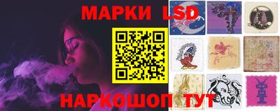 шишки Бийск