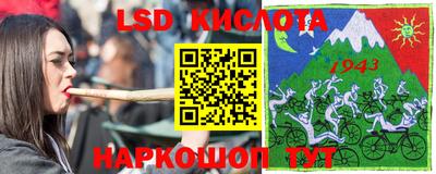 шишки Бийск