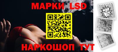 шишки Бийск
