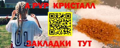 шишки Бийск